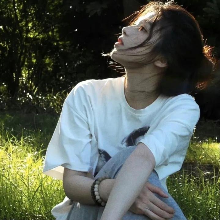 大唐女巡按